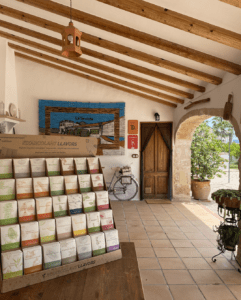 llavors eixarcolant riurau de la seniola xabia javea endemicanatura
