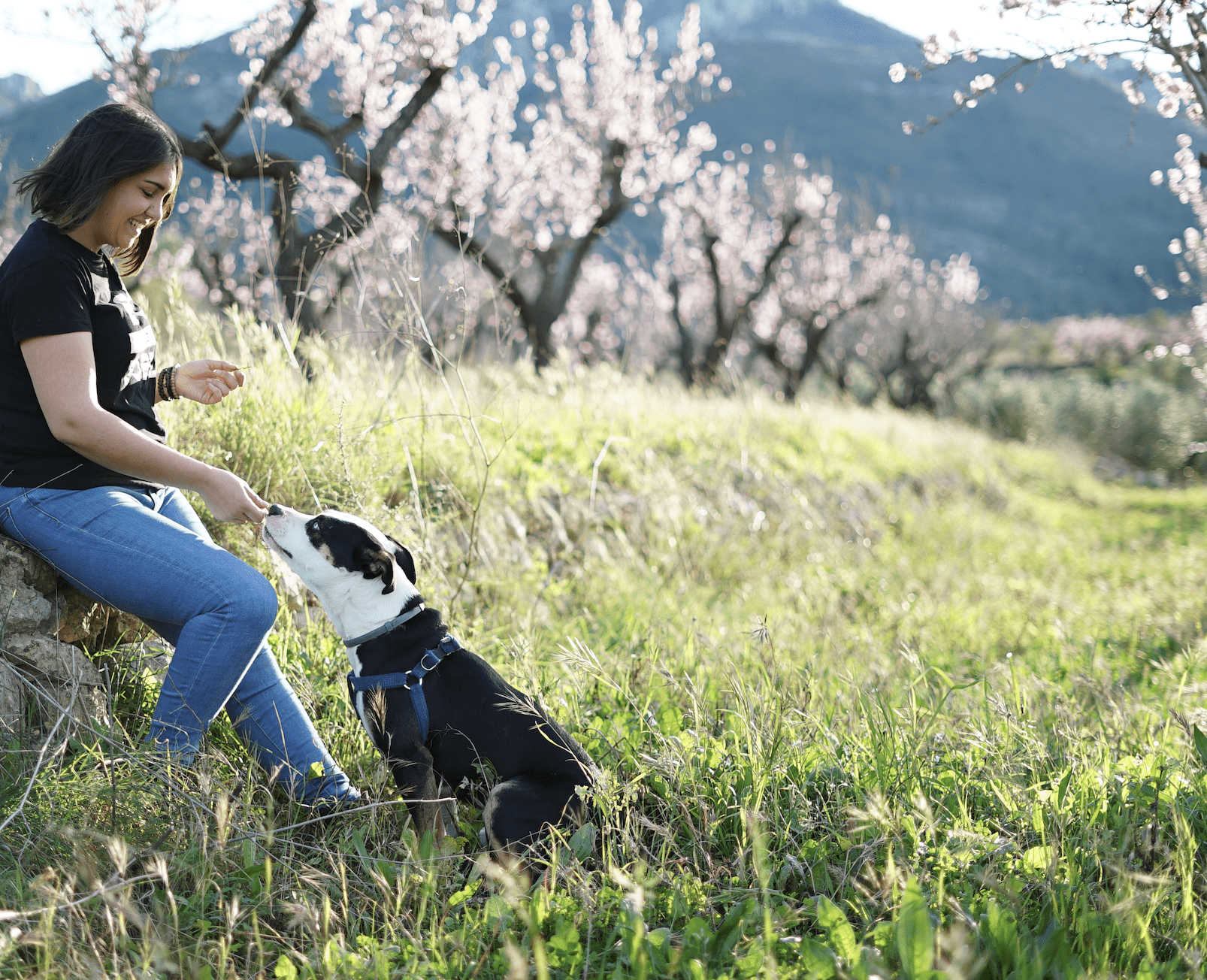 turisme d'autor ecoturisme pet friendly ruta denia javea endemicanatura