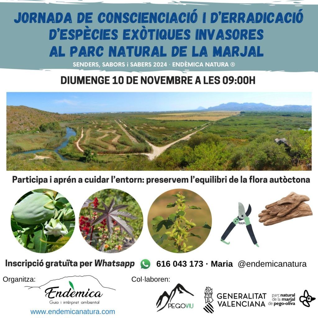 Jornada invasores 10 novembres PNMarjal_EndèmicaNatura