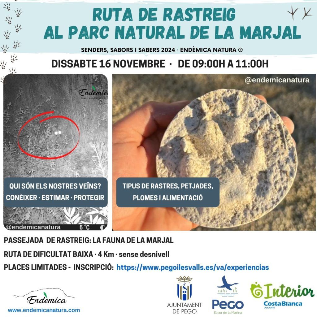 rastreig marjal nov 2024 Aj. PEGO_EndèmicaNatura