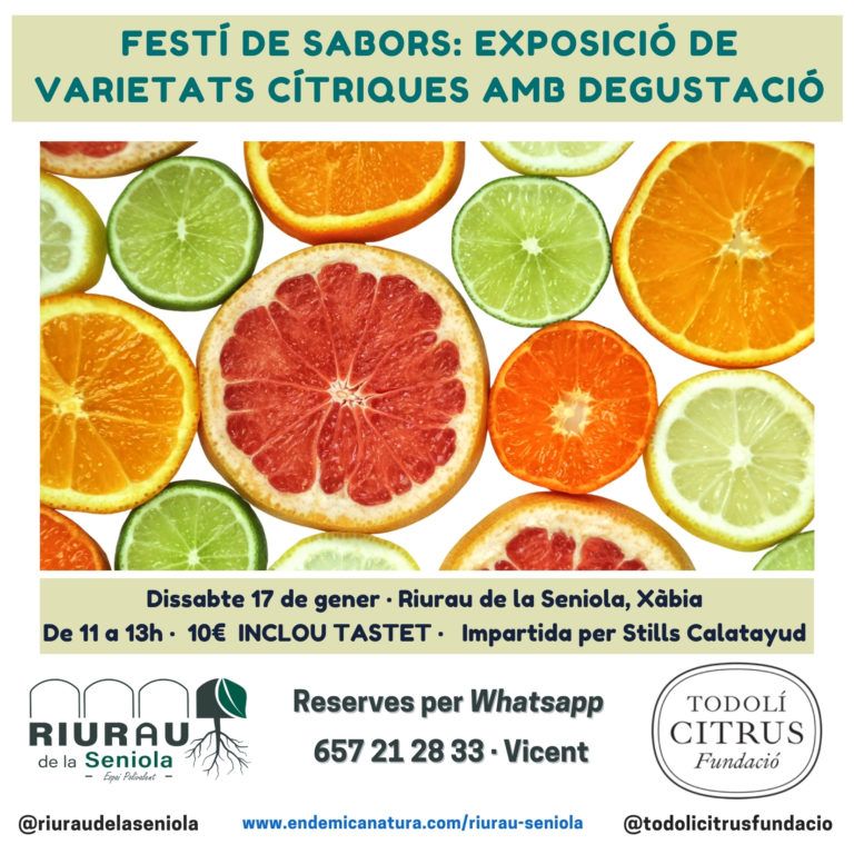RIURAU_TODOLÍ CITRUS