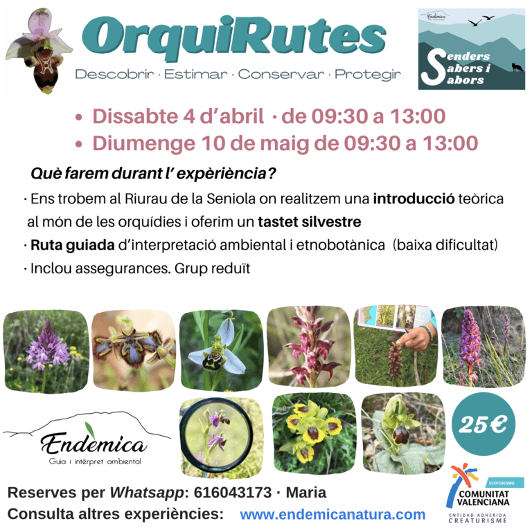 Captura de pantalla 2026-01-08 a las 10.39.36