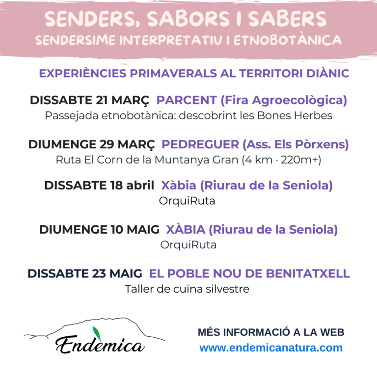 CARTELLS ENDEMICA primavera